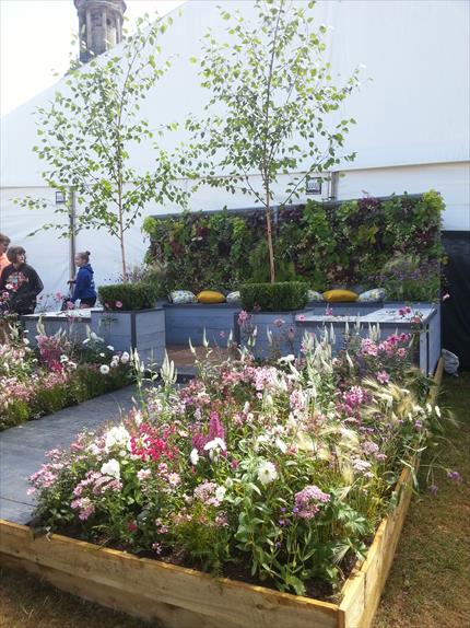 Sustainable Garden winner Shrewsbury Flower Show 2018