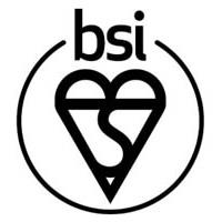 BSI Group logo