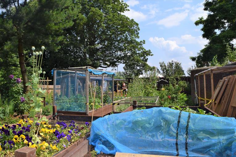 Men in Sheds walled garden