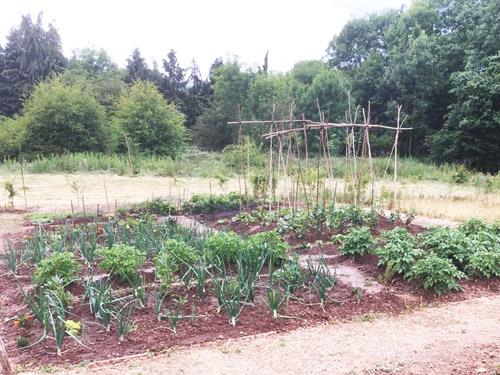 Highley allotments 2