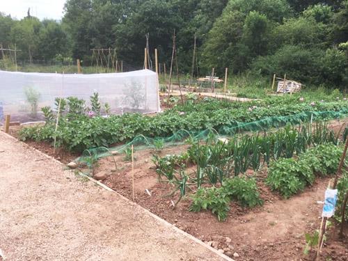 Highley allotment 4